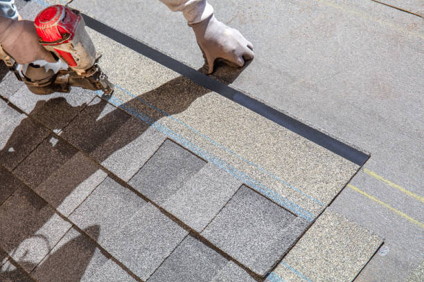 Best Roof Gutter Cleaning  in Waltham, MA